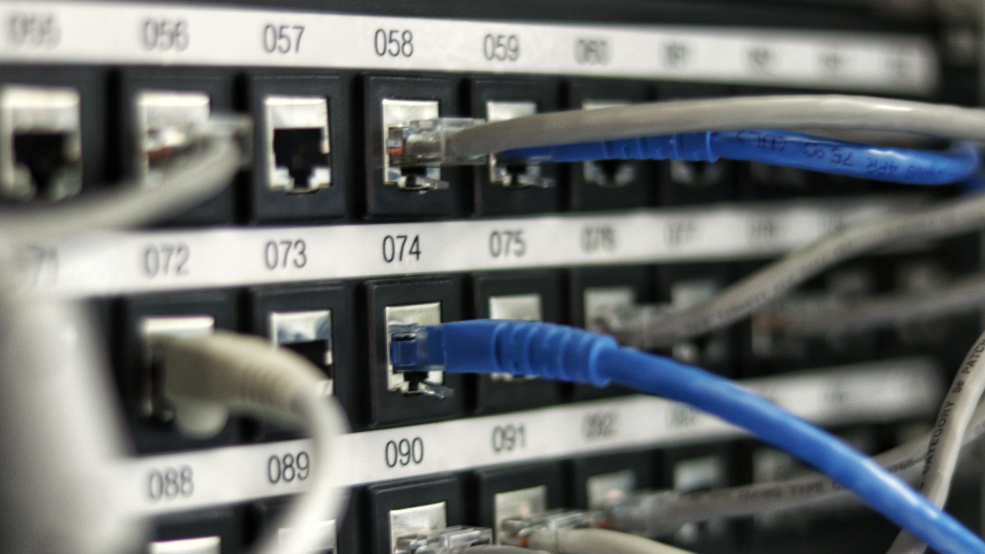 Website & IT Services