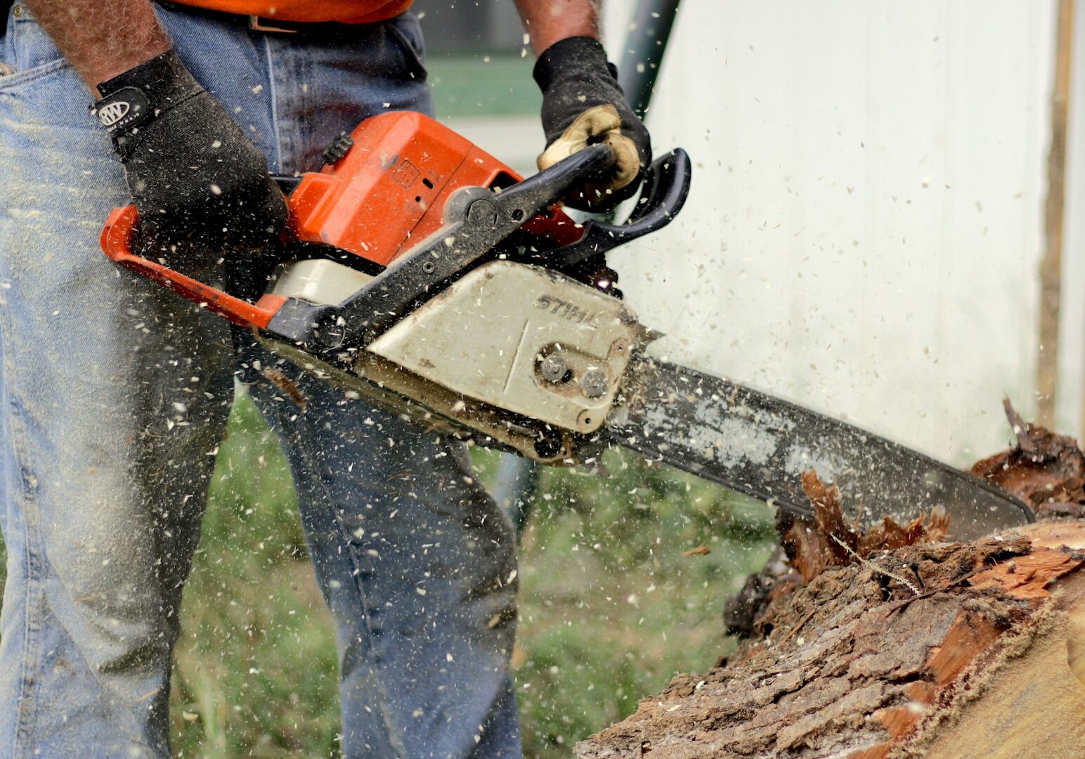 Chainsaw Cutting