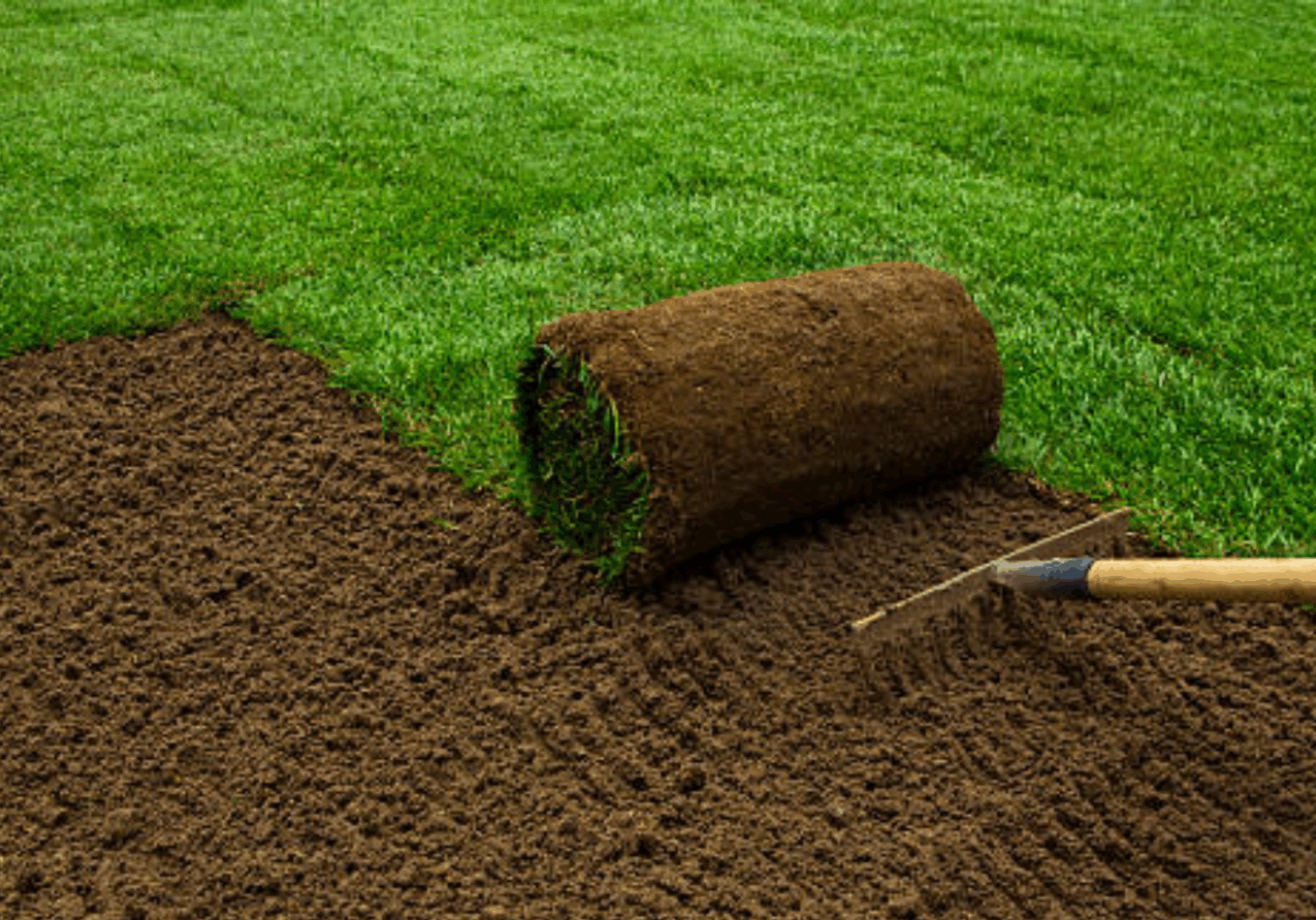 Landscaping