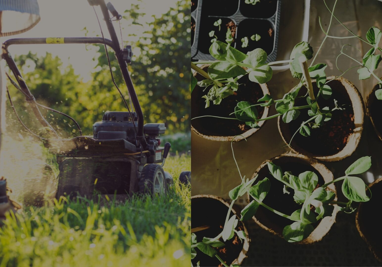 Lawn Mowing & Gardening split